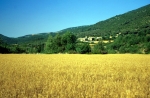 village1fdc.jpg